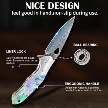 Shellshade Swoop: VG10 Stainless Steel Pocket Hunting Knife